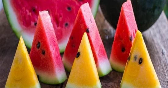 Read more about the article مع اقتراب فصل الصيف، تعرف على الفوائد الصحية لتناول البطيخ