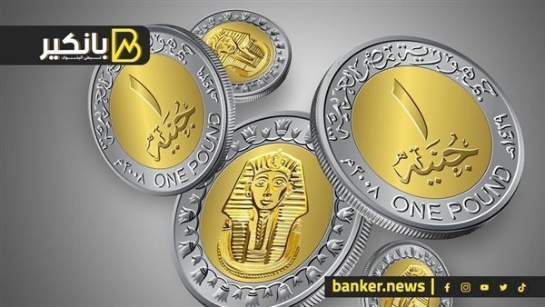 Read more about the article تم سك عملات معدنية جديدة من فئتي الجنيه ونصف الجنيه لهذا السبب