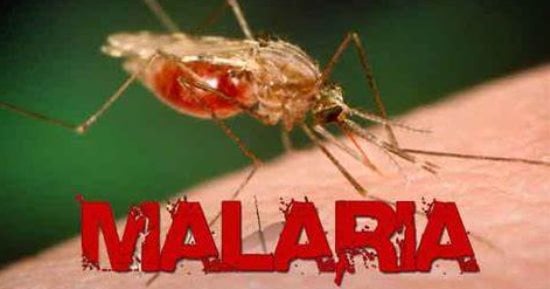 You are currently viewing الصحة العالمية: توزيع شحنة من أحدث لقاح ضد الملاريا على أفريقيا الوسطى
