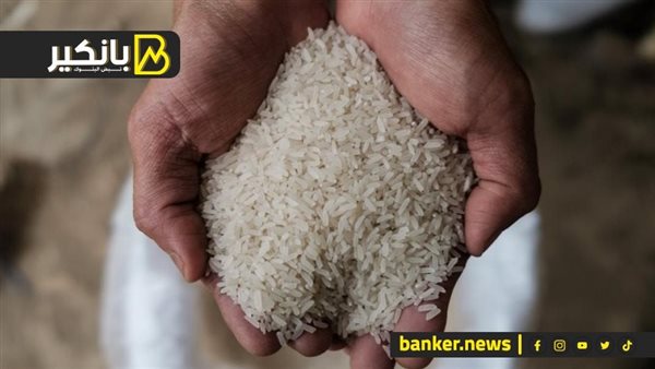 You are currently viewing بأفكار رائعة… دعونا نرى كيف ستضمن الدولة احتياطيات الأرز في السوق