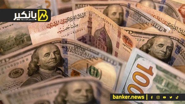 You are currently viewing سعر الدولار اليوم الأربعاء 8 مايو 2024 في البنك المركزي المصري