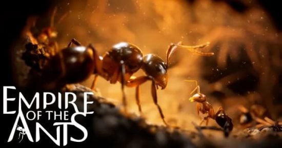 You are currently viewing لعبة Empire of the Ants تكشف عن حياة حشرة واقعية وستصدر في نوفمبر