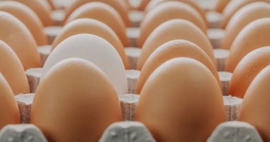 You are currently viewing كيف تأكل البيض بأمان في الصيف؟