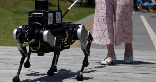 You are currently viewing ابتكر العلماء روبوتًا على شكل كلب ذو 6 أرجل لتوجيه المكفوفين وضعاف البصر