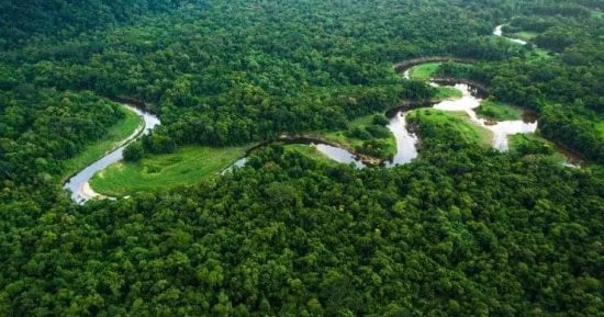 Read more about the article تشهد منطقة الأمازون البرازيلية أسوأ ستة أشهر من حرائق الغابات منذ عقدين من الزمن